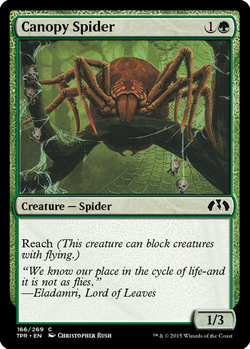 Canopy Spider (Foil)