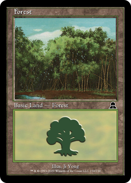 Forest (Foil)