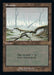 Swamp - Retro Frame