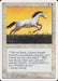 Pearled Unicorn