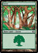 Forest (Foil)