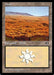 Plains (Foil)