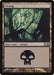 Swamp
