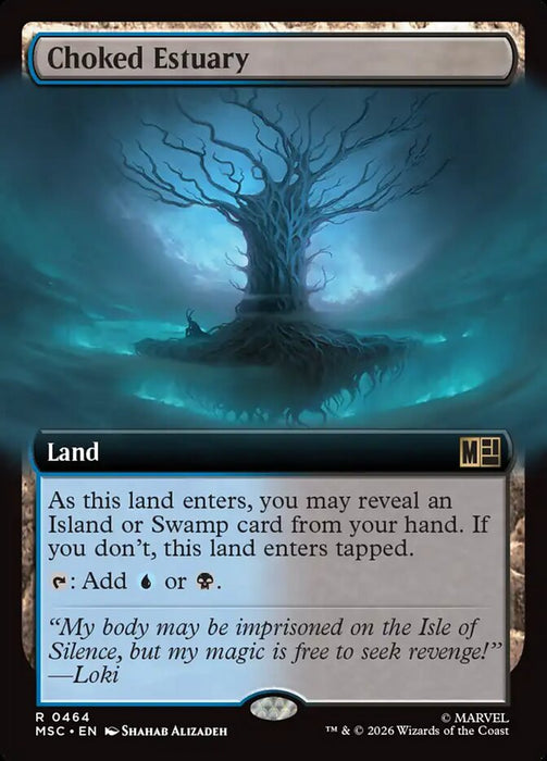 Choked Estuary - Extended Art