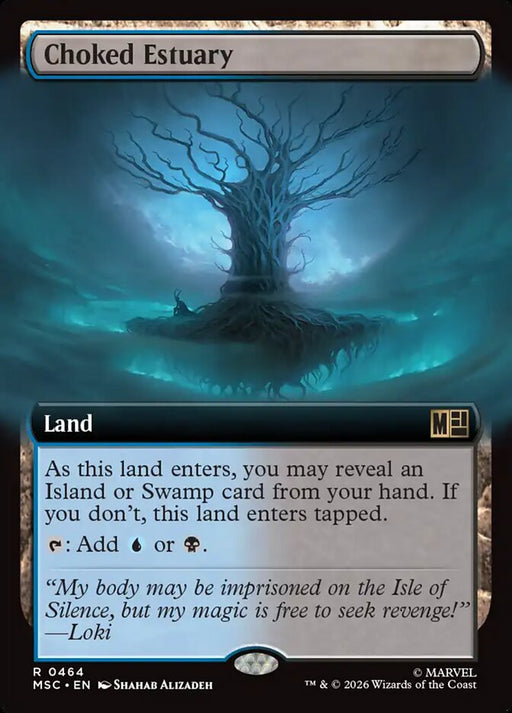 Choked Estuary - Extended Art