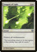 Tempest of Light (Foil)