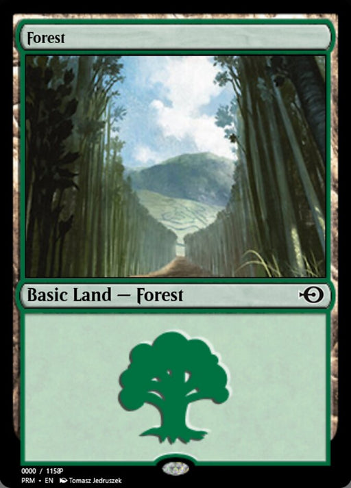 Forest (Foil)