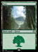 Forest (Foil)