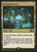 Echoing Cavern
