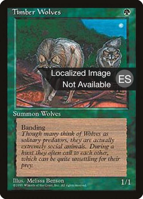 Lobos ferales - Timber Wolves