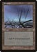 Swamp