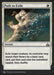 Path to Exile