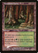 Karplusan Forest (Foil)