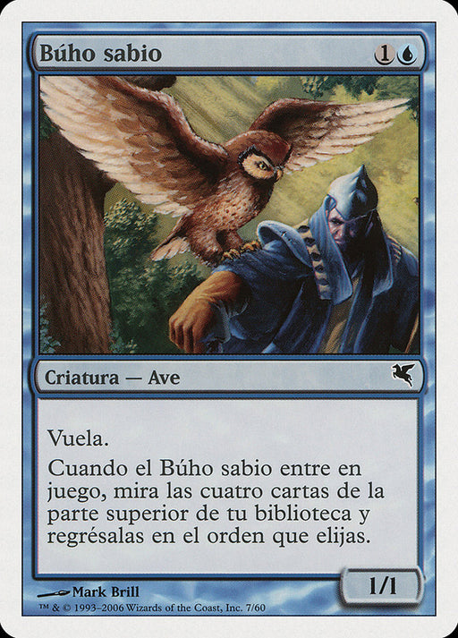 Búho sabio - Sage Owl