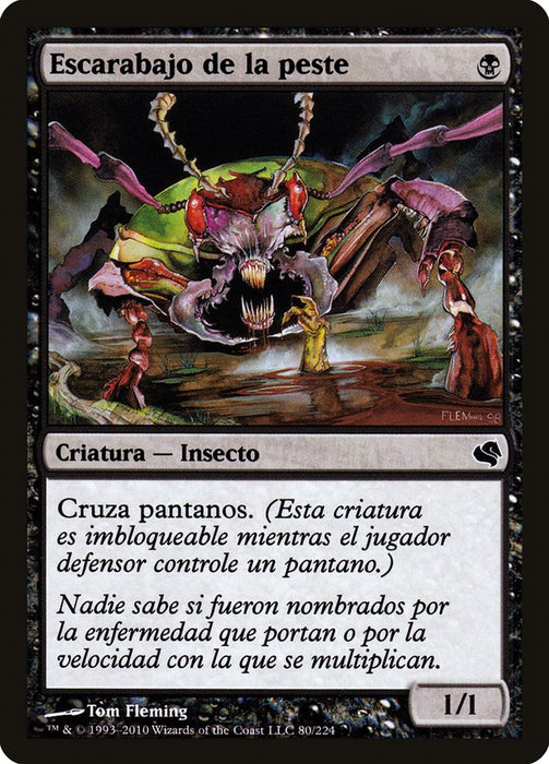 Escarabajo de la peste - Plague Beetle