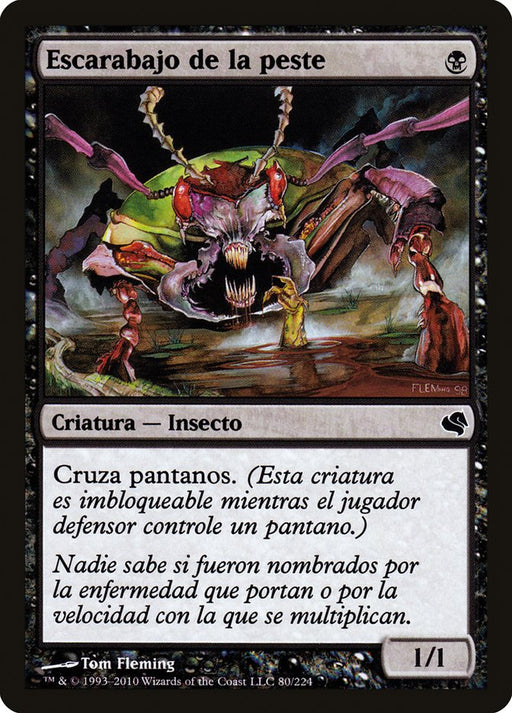 Escarabajo de la peste - Plague Beetle