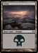 Swamp (Foil)
