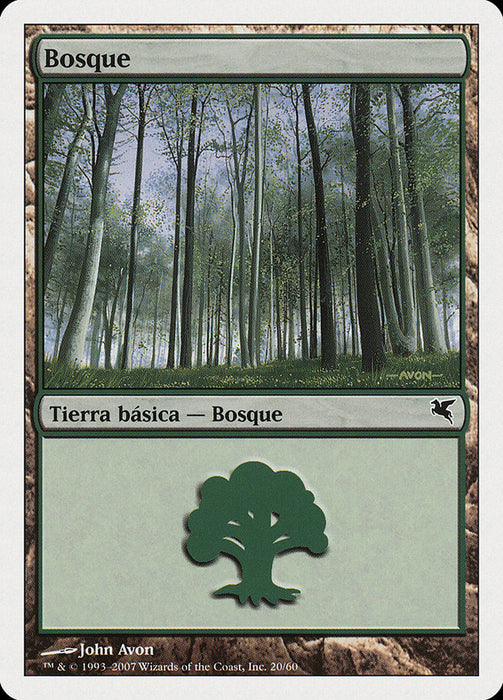 Bosque - Forest
