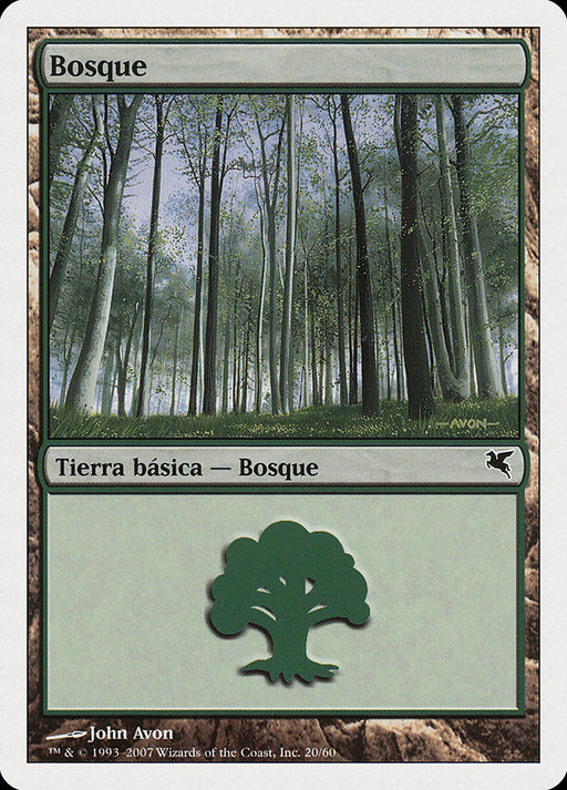 Bosque - Forest