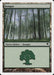Bosque - Forest