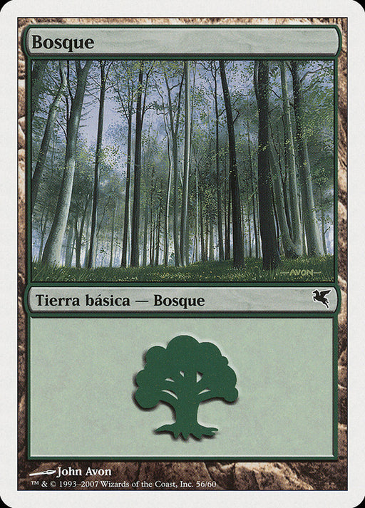 Bosque - Forest