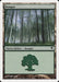 Bosque - Forest