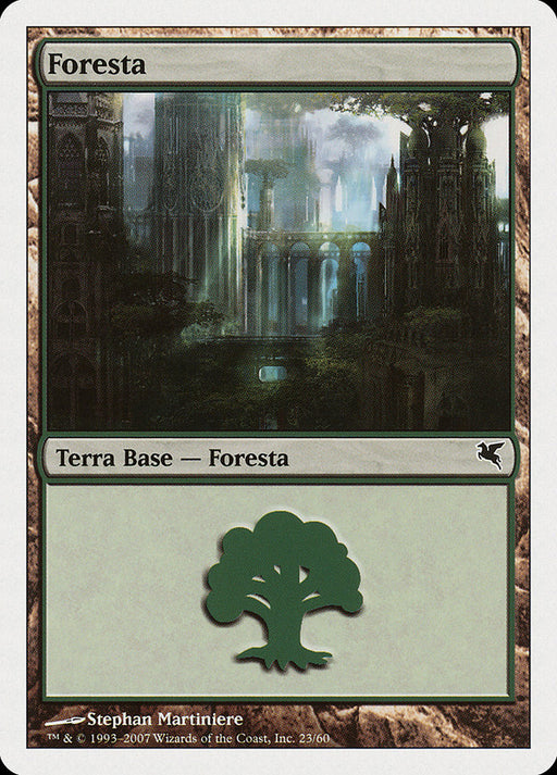Foresta - Forest