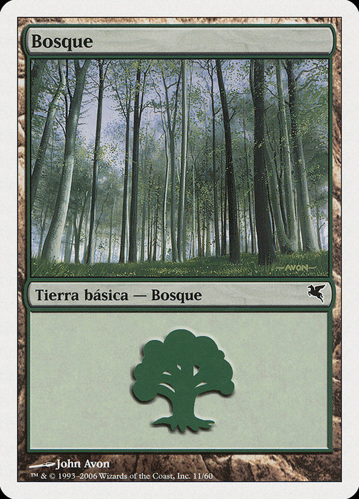 Bosque - Forest