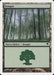 Bosque - Forest