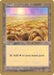 Plains