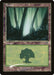 Forest (Foil)