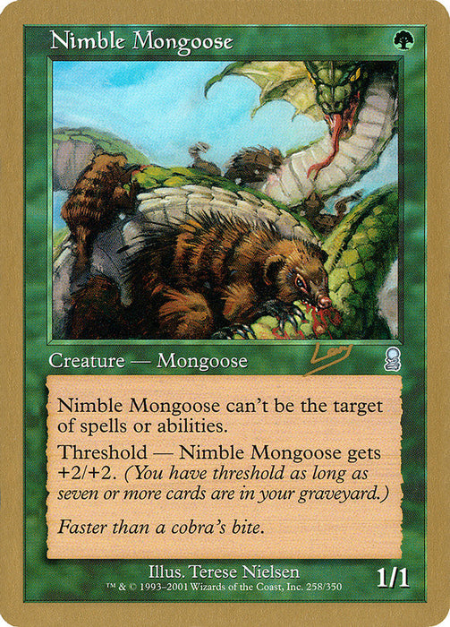 Nimble Mongoose