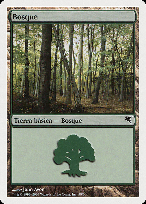 Bosque - Forest