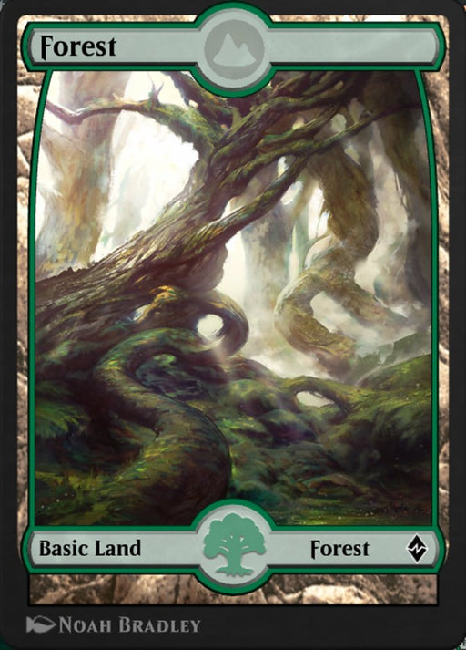 Forest - Full Art