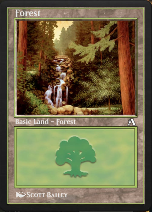 Forest - Retro Frame