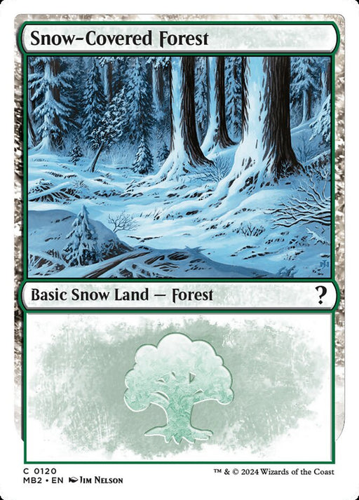 Snow-Covered Forest - Snow
