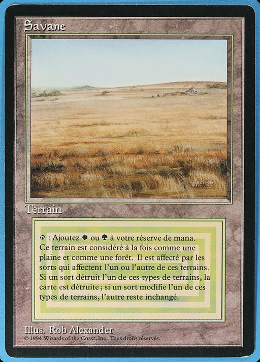Savane - Savannah