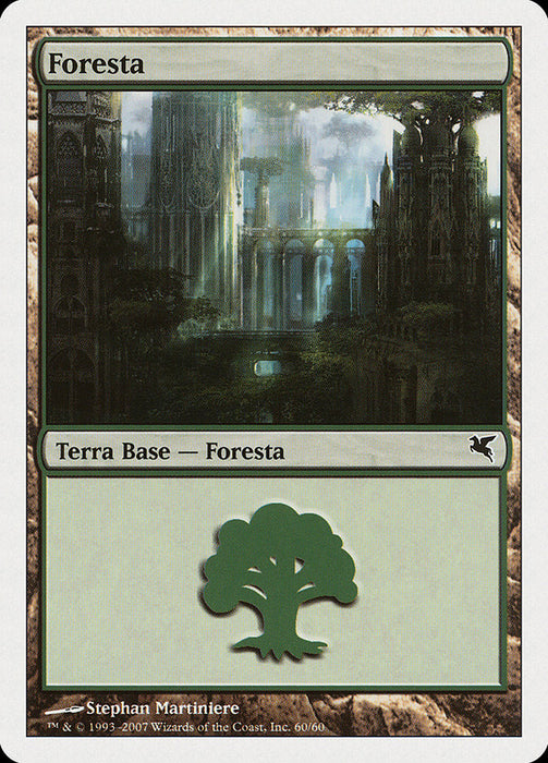Foresta - Forest
