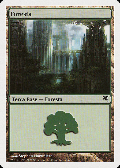 Foresta - Forest