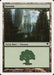 Foresta - Forest