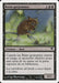 Ratas gorjeantes - Chittering Rats