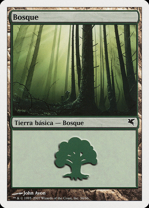 Bosque - Forest