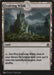 Evolving Wilds