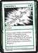 Naturalize 2