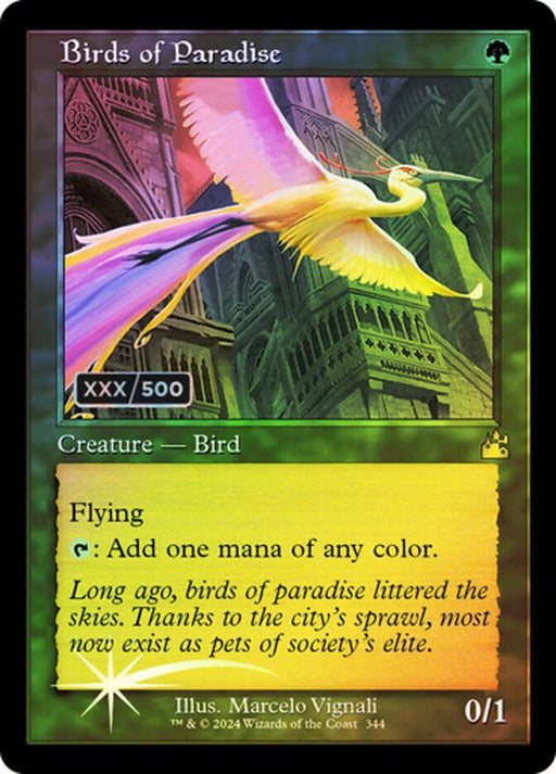 Birds of Paradise - Retro Frame (Foil)