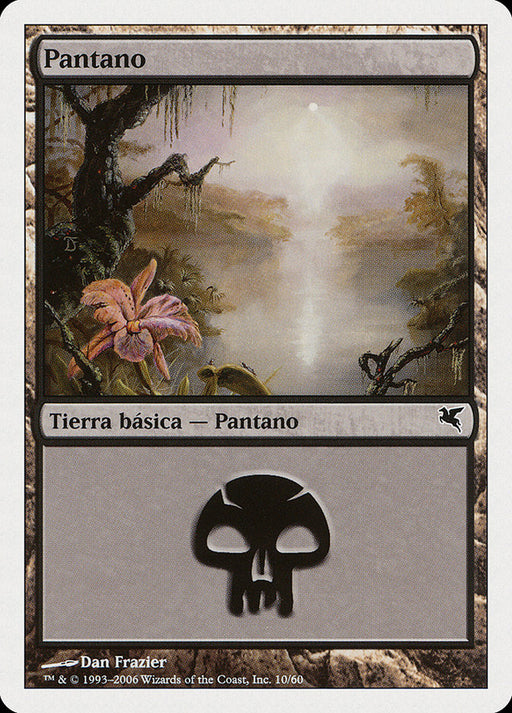 Pantano - Swamp
