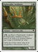 Explorador viridiano - Viridian Scout