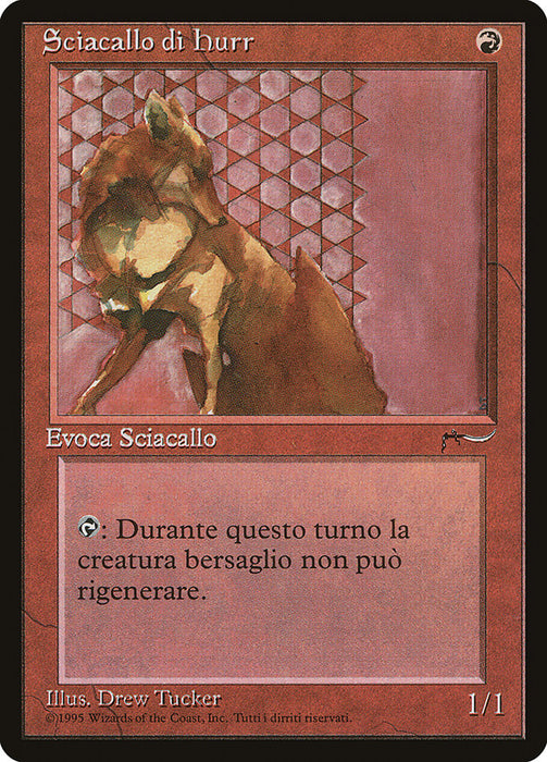 Sciacallo di Hurr - Hurr Jackal