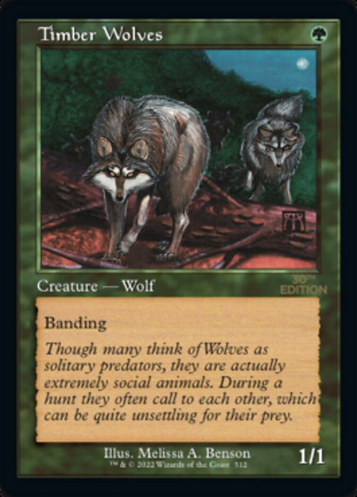 Timber Wolves - Retro Frame