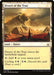 Desert of the True